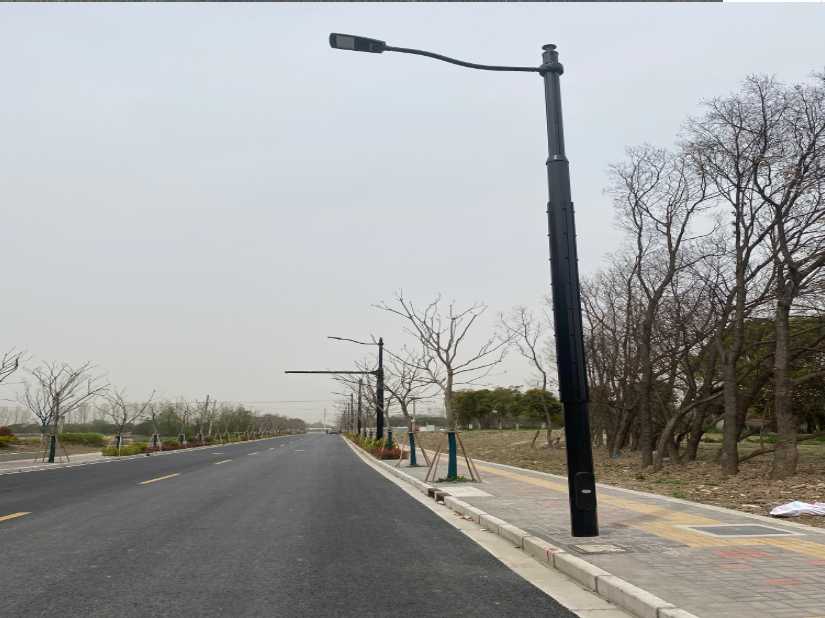 柳北区上海综合杆 太阳能路灯工程